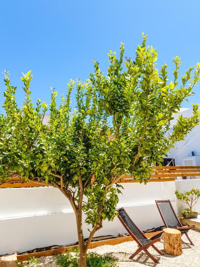 Jelly Fish Guest House Σάγκρες Εξωτερικό φωτογραφία